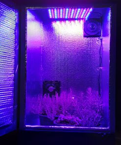 3FT LED Grow Cabinet Soil / Hydroponic with charcoal filter
